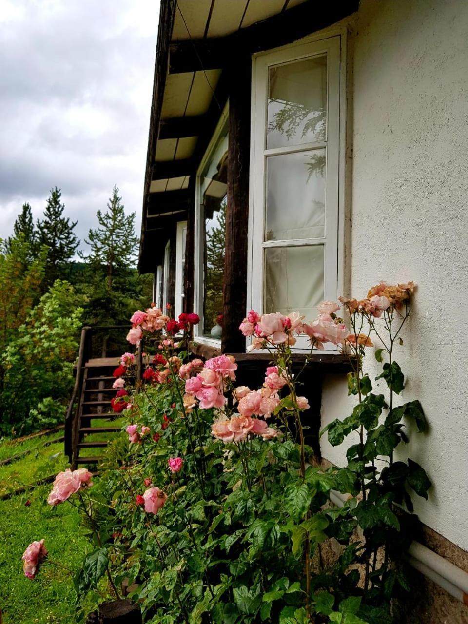 The Patagonian Lodge Coyhaique Kültér fotó
